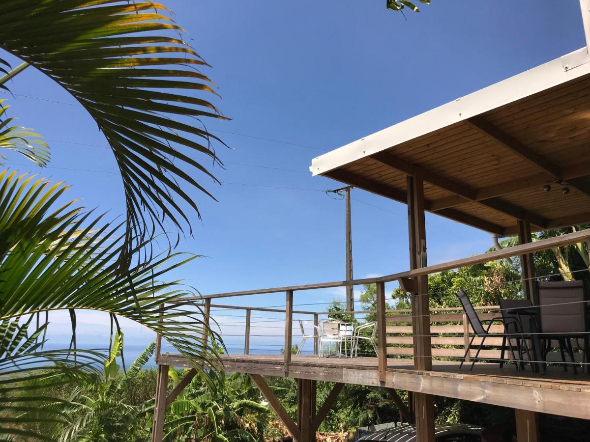Lounge Des Hauts, 3 Maisons A L'Etang-Sale Avec Vue Sur L'Ocean Indien Et La Foret 外观 照片