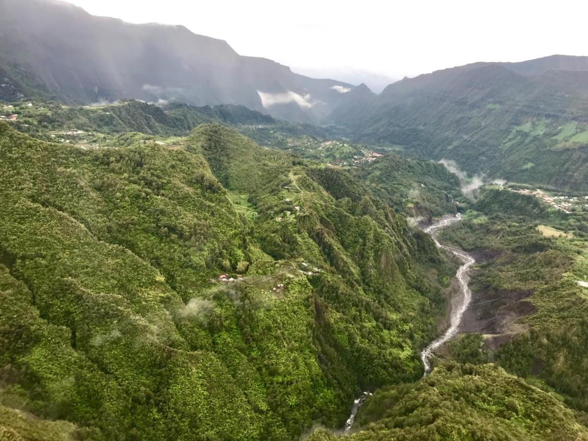 Lounge Des Hauts, 3 Maisons A L'Etang-Sale Avec Vue Sur L'Ocean Indien Et La Foret 外观 照片
