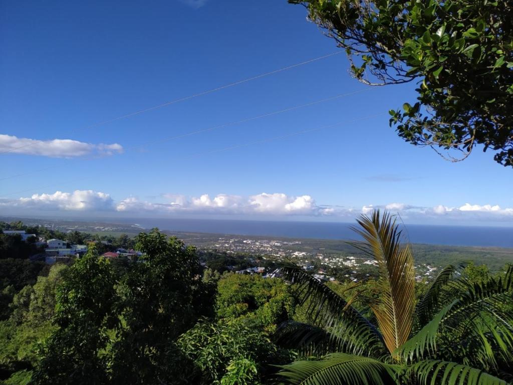 Lounge Des Hauts, 3 Maisons A L'Etang-Sale Avec Vue Sur L'Ocean Indien Et La Foret 外观 照片