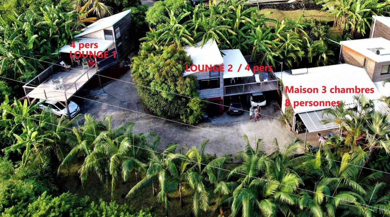 Lounge Des Hauts, 3 Maisons A L'Etang-Sale Avec Vue Sur L'Ocean Indien Et La Foret 外观 照片